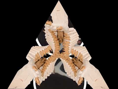 Kaleidoscope experiments — video priekšskatījums