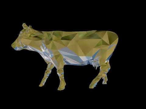 Ventspils cow skin transformation experiments — video priekšskatījums
